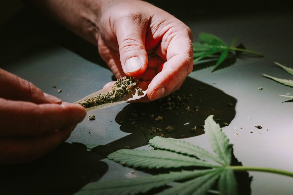 Marihuana in Prague