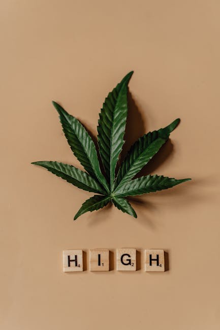 Hashish in Prague