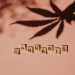 Cannabis in Prague