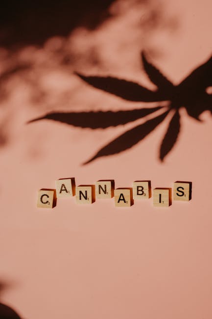 Cannabis in Prague